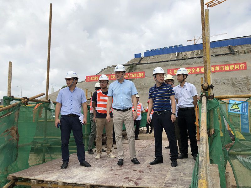 6.5杨俊到建工城8号地块项目检查指导工作[1].jpg