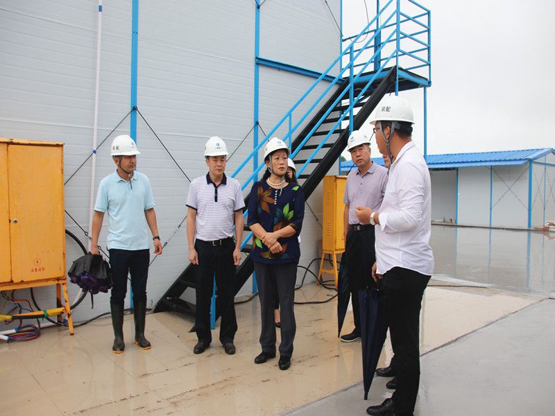 陈丽华到广西建工集团桂林装配式建筑产业基地（一期）项目检查指导.jpg