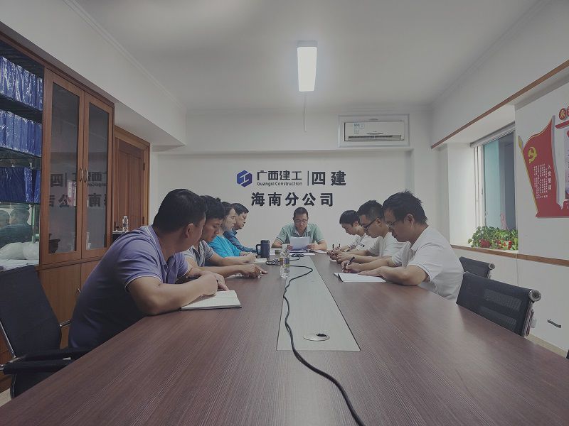 海南分公司党支部专题学习党的二十大精神.jpg