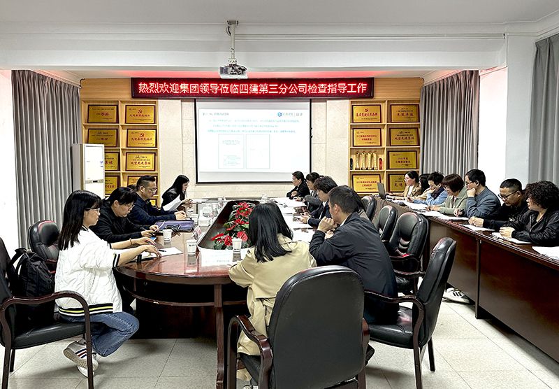 第三分公司检查现场（修图）.jpg