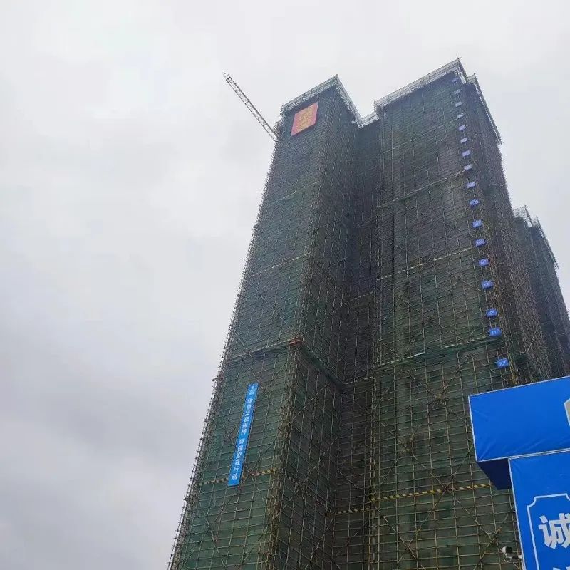 10#楼外立面.jpg
