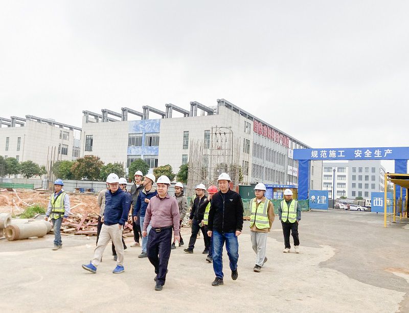 陈礼松总项目督导检查（80图）.jpg