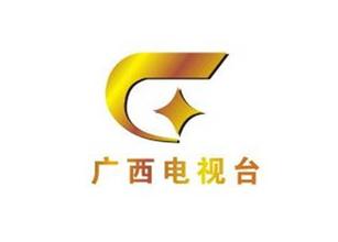 广西科教频道采访十一分嘉和右岸项目部