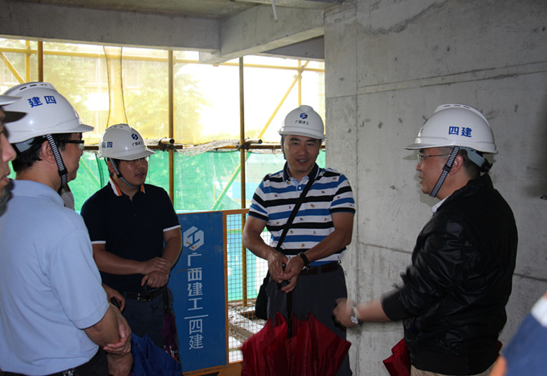 自治区国资委领导小组到公司项目部检查指导工作