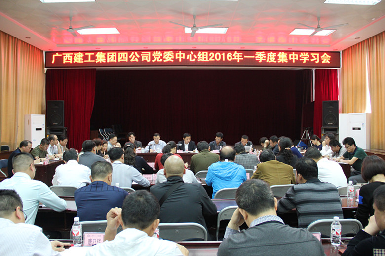 公司党委中心组开展“两学一做”集中学习