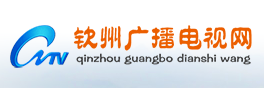 钦州电视台报道公司奥林华府项目承办钦州市“安全生产月”千人观摩会