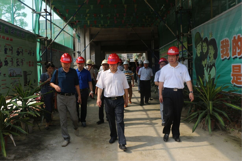 自治区政协副主席刘正东一行到公司项目调研