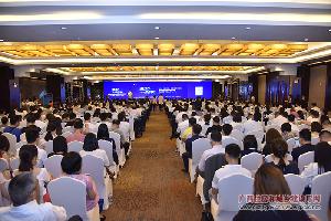 中国特色小镇发展高峰论坛暨权威数据排行榜发布会在南宁举行（组图）