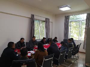 杨俊到十五分公司调研指导工作