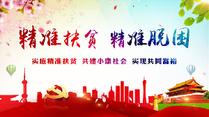 公司领导赴靖西遍访慰问贫困户