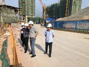 杨俊到建工城8号地块项目检查指导工作