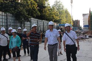 杨俊到公司总部基地项目检查指导工作