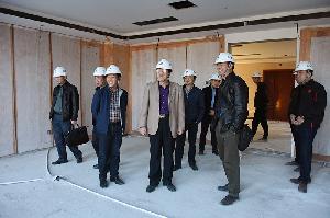 罗涛到公司总部基地项目检查指导